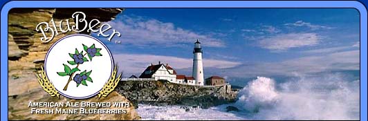 BluBeer - American Ale Brewed with Fresh Maine Blueberries