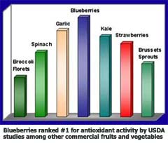 Graph shows Blueberry has the highest antioxidant