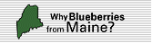 Why blueberries from Maine?