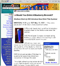 BluCreek Blueberry Ale - Channel 300