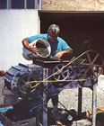 Photo of Wild Blueberry Sorting