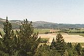 Photo of Californian Valley