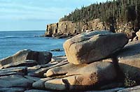 Otter Cliffs at Acadia National Park